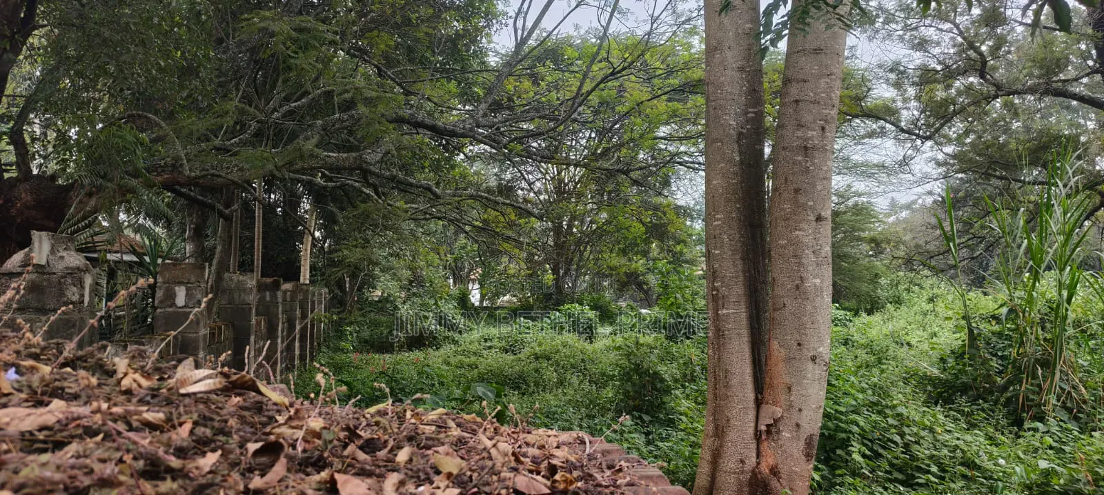 Prime 2.1 Acres for Sale in Spring Valley