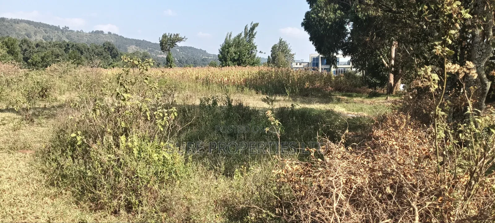 2 Acres Ngoirubi Thigio in Kikuyu
