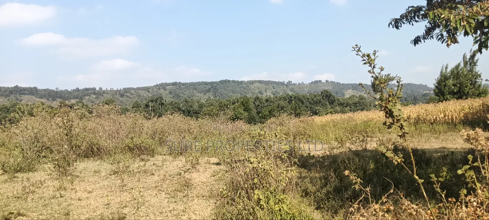 2 Acres Ngoirubi Thigio in Kikuyu
