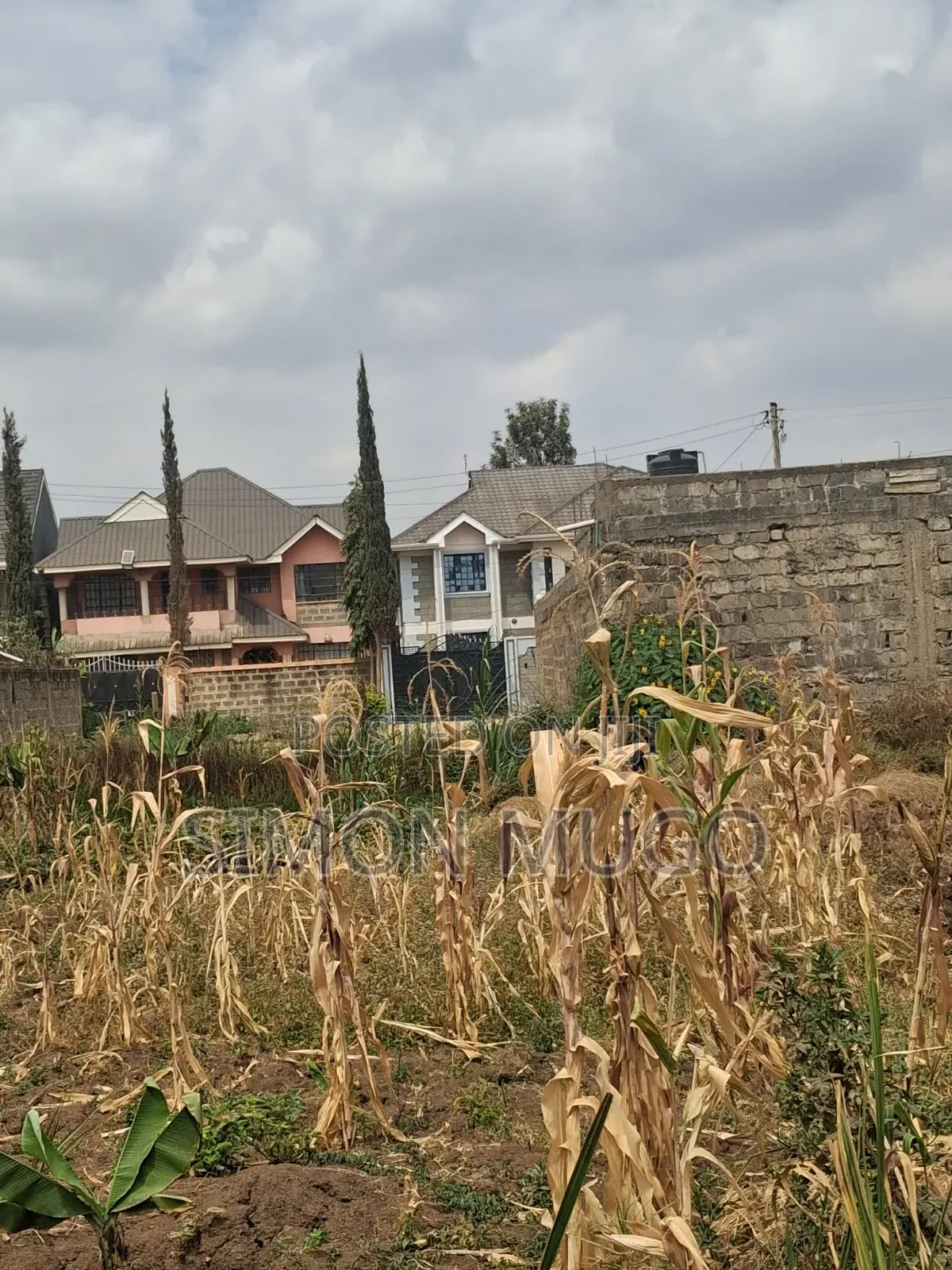 Membly Park Estate 40x80 Off Kisima Jacarada Ready Title in Membley Estate