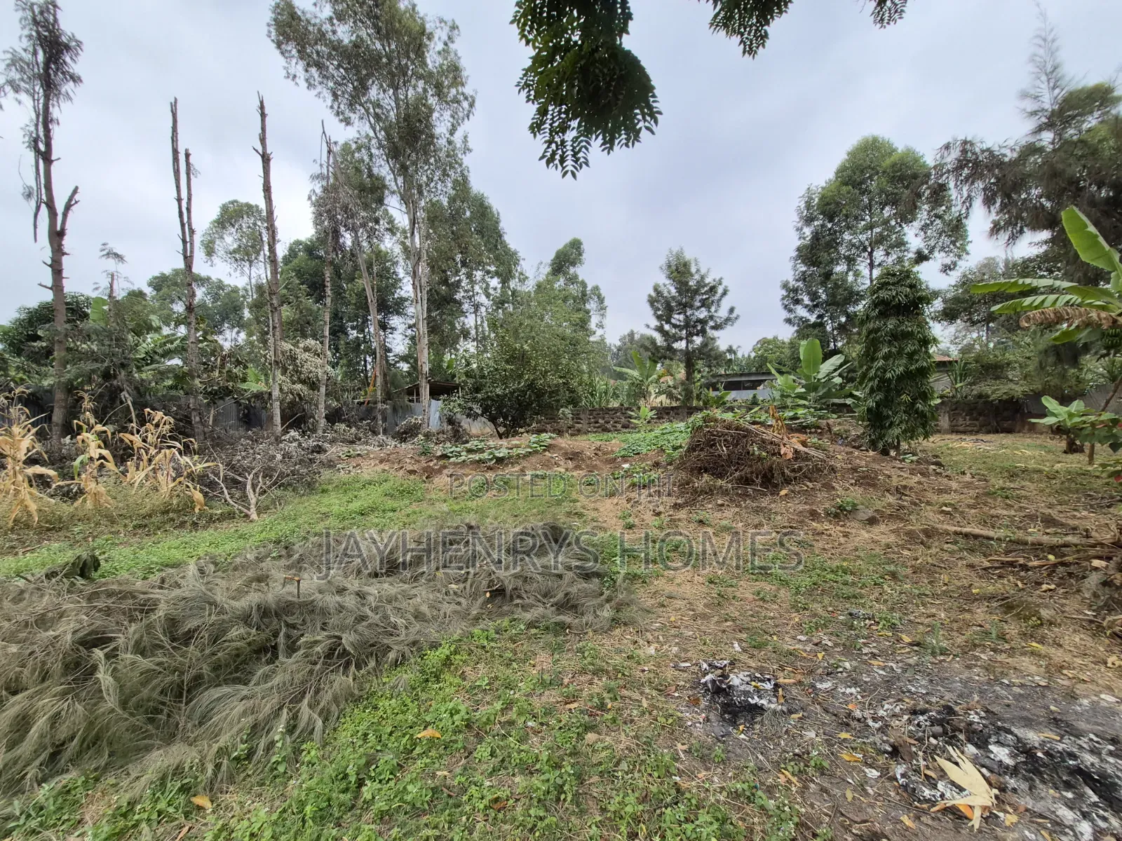 1/4 Acre Plot for Sale in Thome Estate at KSHS 20,000,000 in Thome