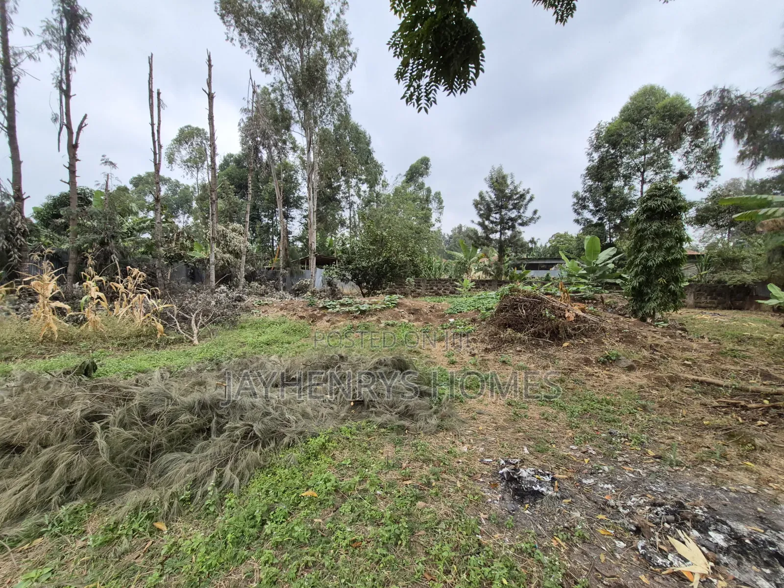 1/4 Acre Plot for Sale in Thome Estate at KSHS 20,000,000 in Thome