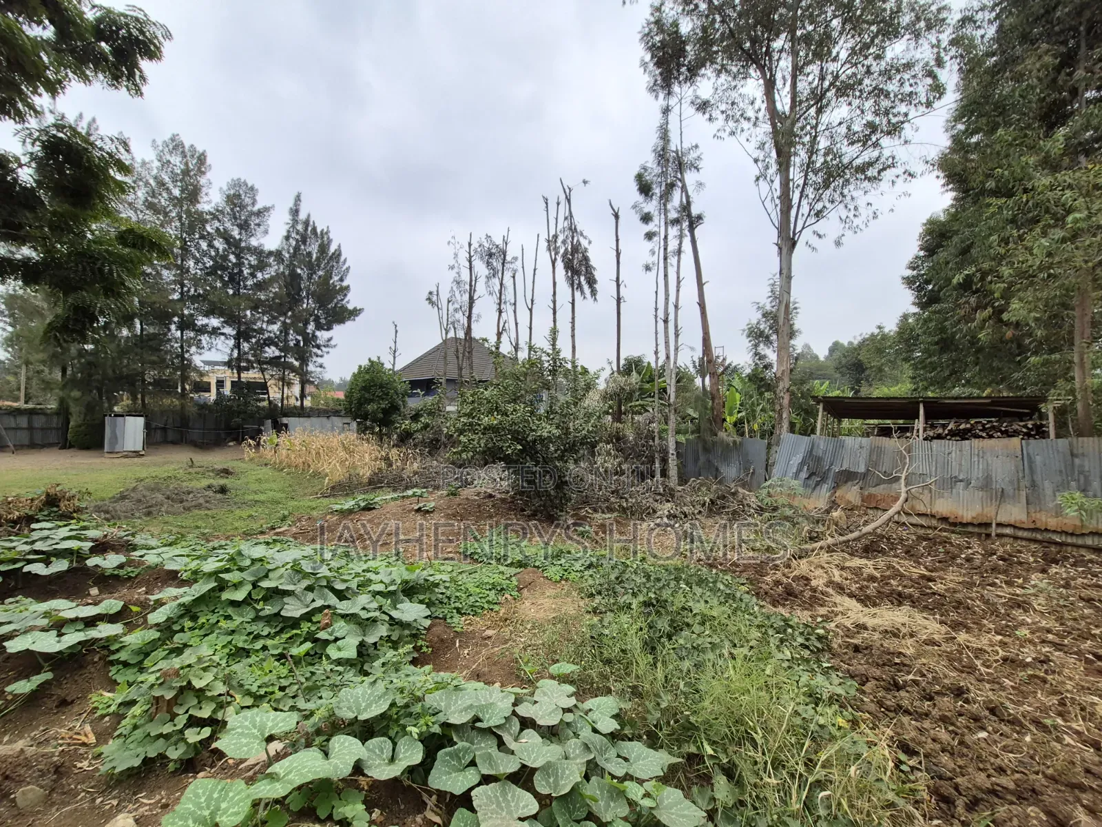1/4 Acre Plot for Sale in Thome Estate at KSHS 20,000,000 in Thome