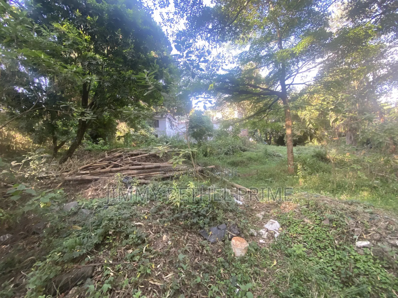3bdrm Bungalow in Kitisuru for sale in Kitisuru