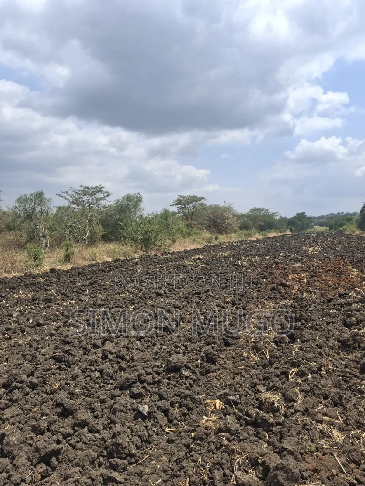 Kenol Nyeri Super Highway Rukanga Area 50x100 Freehold Title in Makutano