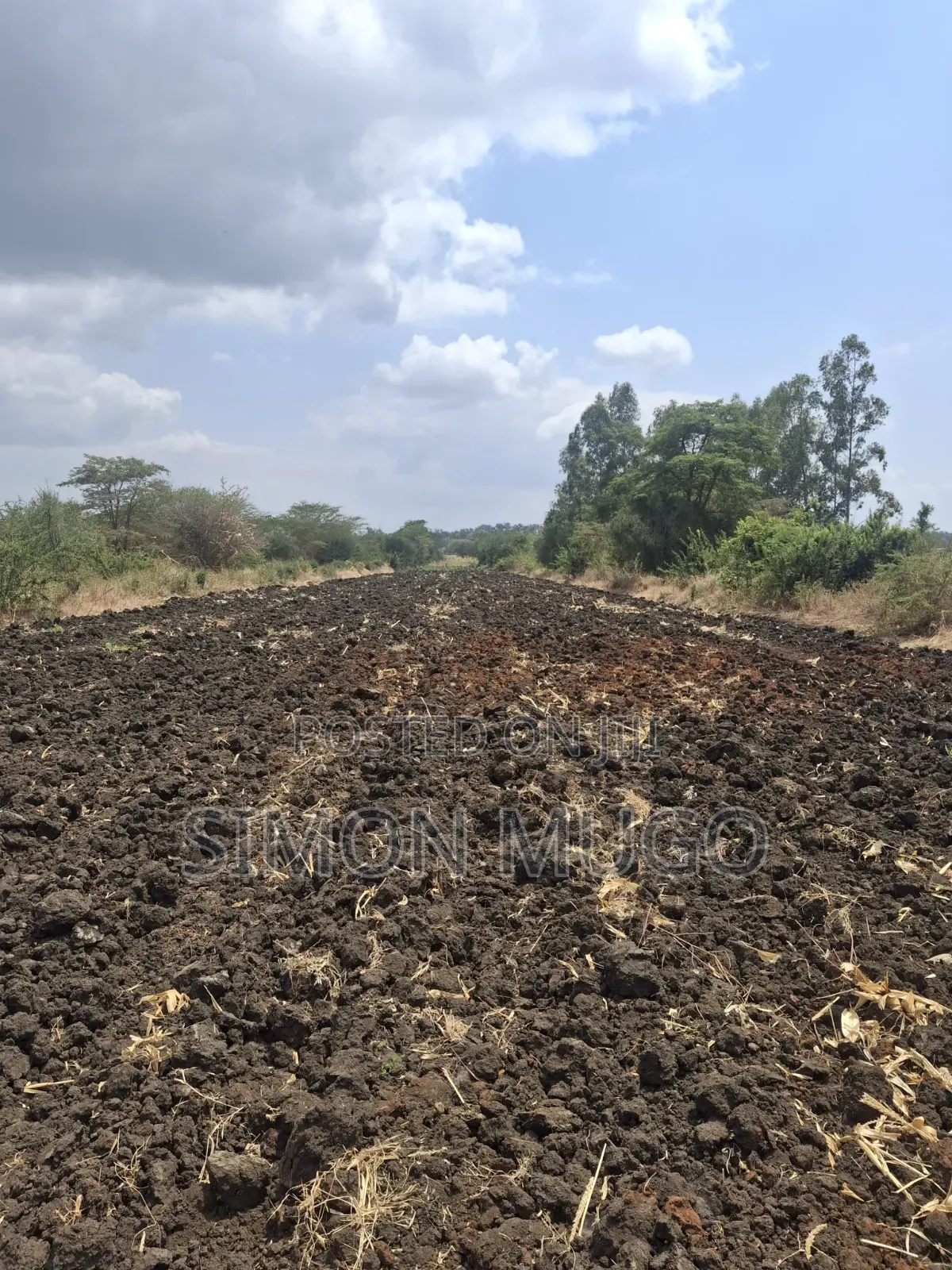 Kenol Nyeri Super Highway Rukanga Area 50x100 Freehold Title in Makutano