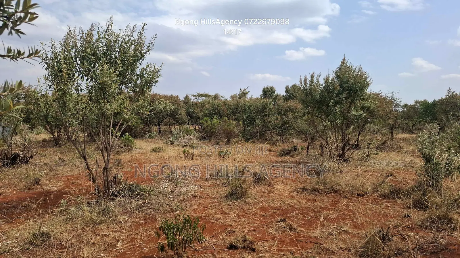 PRIME 1-Acre LAND FOR SALE: Maroroi, Ngong Views Fertile Soil in Kibiku