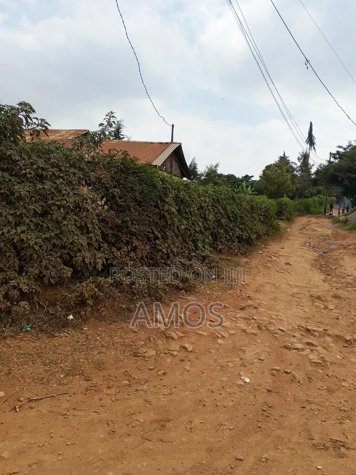 A Full 1⁄8ac Plot for Residential Home in Limuru Kamirithu in Ndeiya