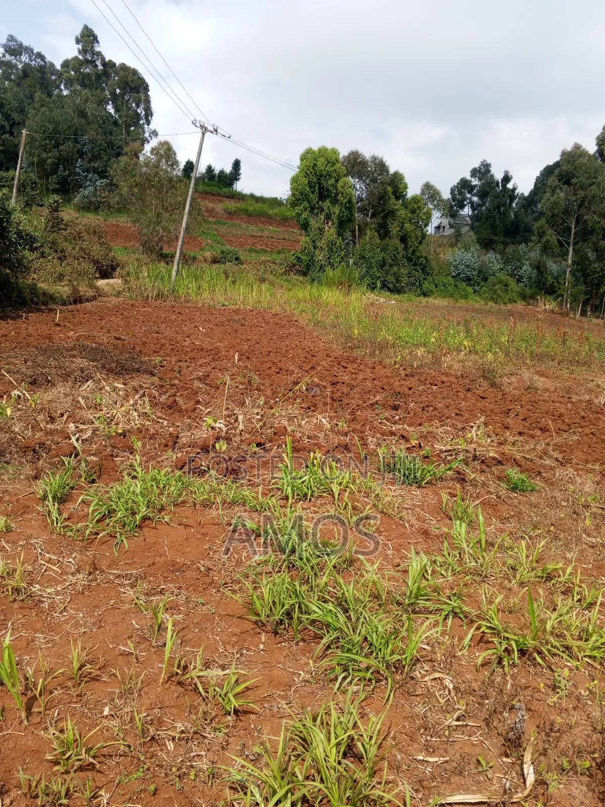 A Full 1⁄4ac Plot for Residential Home in Limuru Bibilioni Ngarariga in Ndeiya