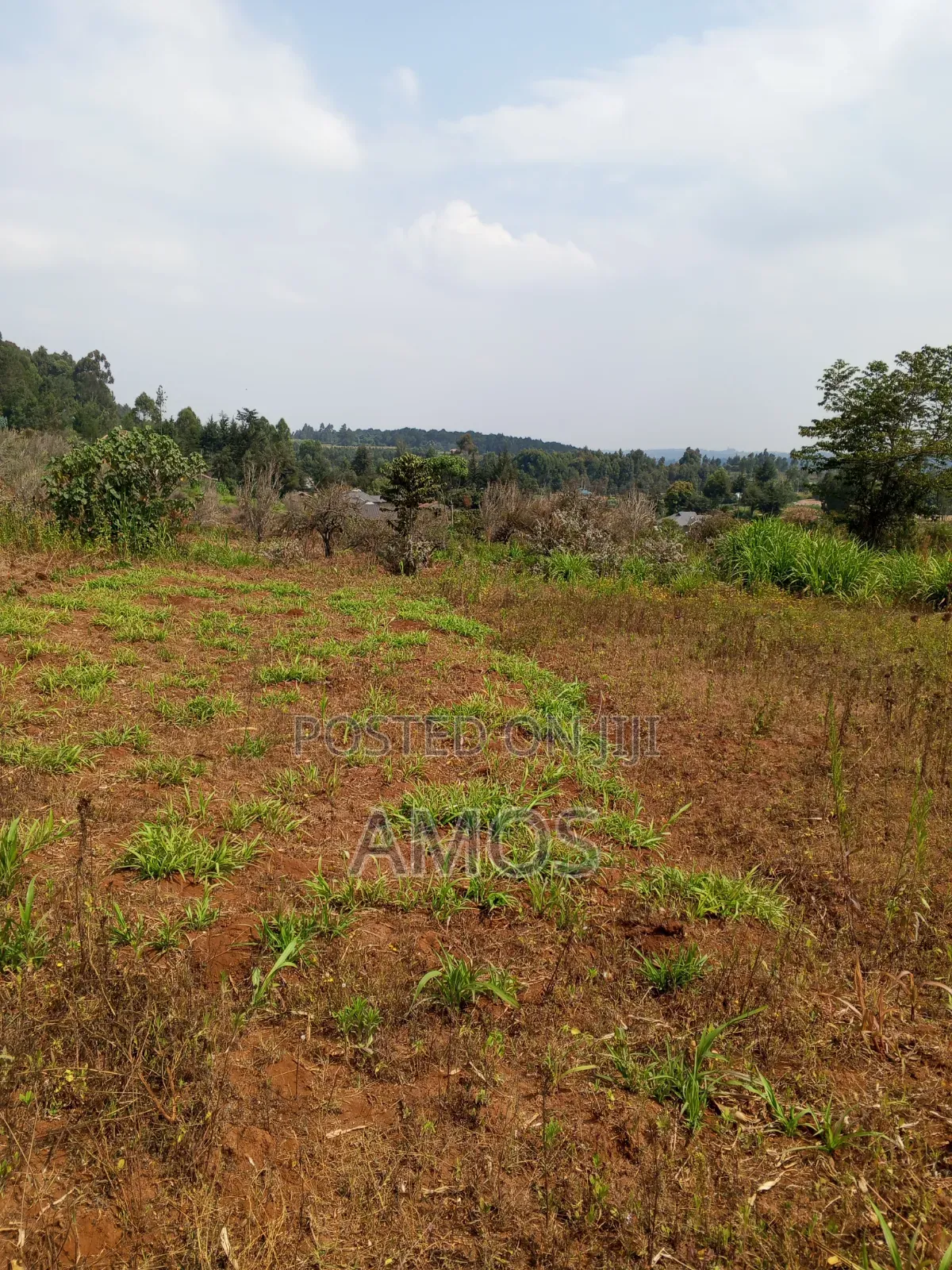 A Full 1⁄4ac Plot for Residential Home in Limuru Bibilioni Ngarariga in Ndeiya