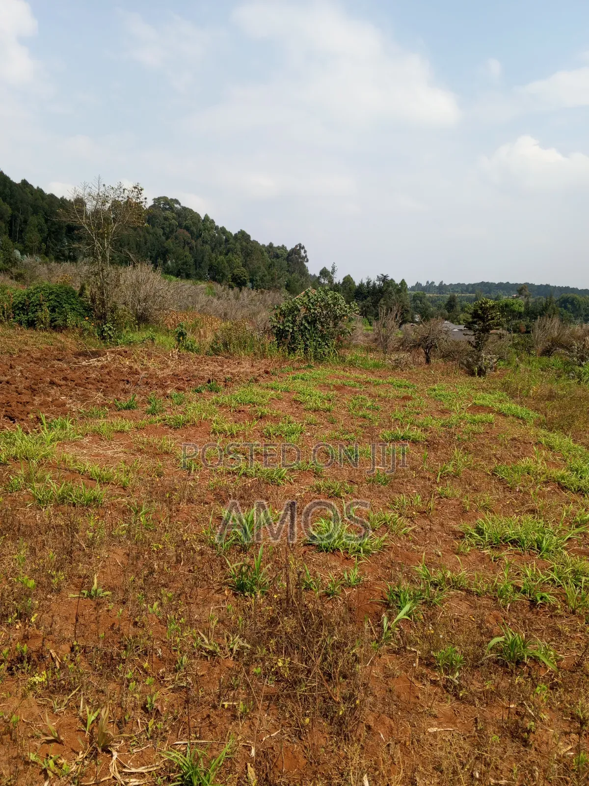 A Full 1⁄4ac Plot for Residential Home in Limuru Bibilioni Ngarariga in Ndeiya