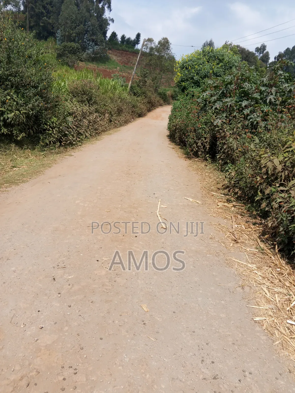 A Full 1⁄4ac Plot for Residential Home in Limuru Bibilioni Ngarariga in Ndeiya