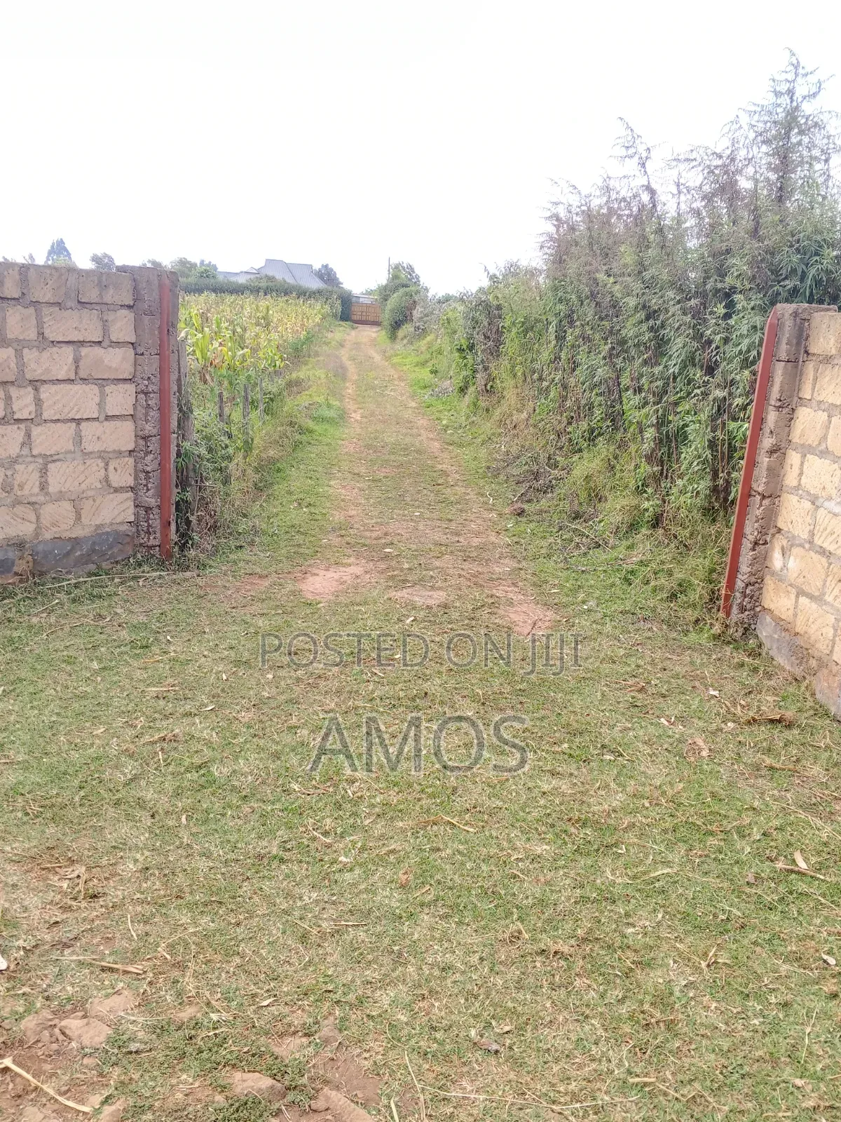 Very Prime 1 Acre Land With a 3 Bedroom Bungalow in Limuru Bibilioni in Ndeiya