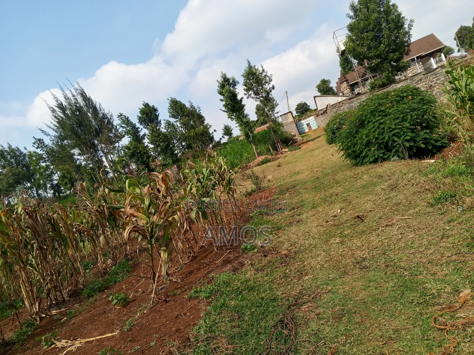 A Full 1⁄8ac Plot Sale in a Middle Class Area of Limuru Kamirithu in Limuru CBD