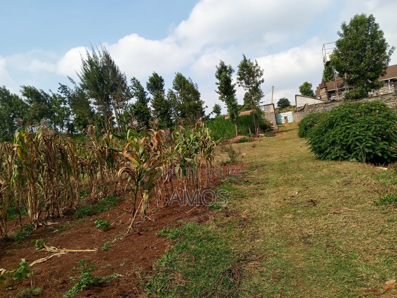 A Full 1⁄8ac Plot Sale in a Middle Class Area of Limuru Kamirithu in Limuru CBD