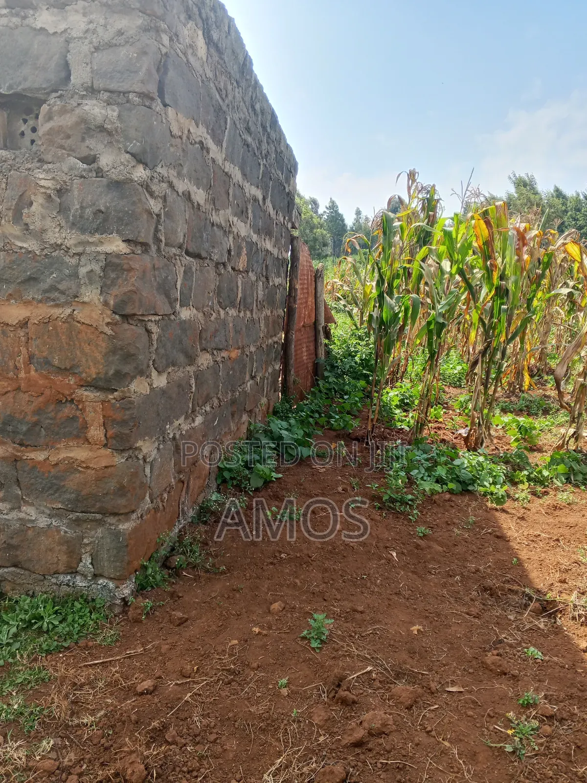 A Full 1⁄8ac Plot Sale in a Middle Class Area of Limuru Kamirithu in Limuru CBD