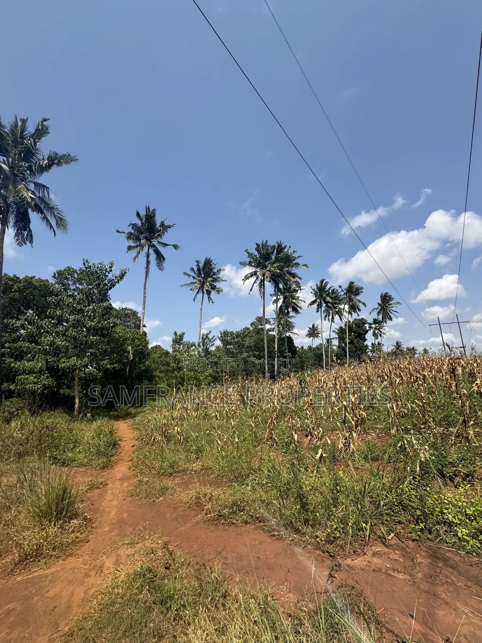 Affordable Plots for Sale Boman Kikambala in Kikambala