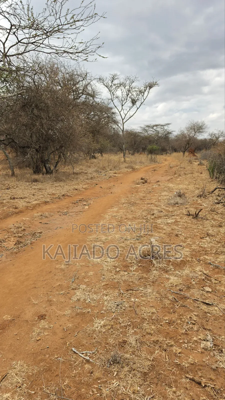 150 Acres Nkoile ,Off Namanga Road,at Per Acre in Bisil