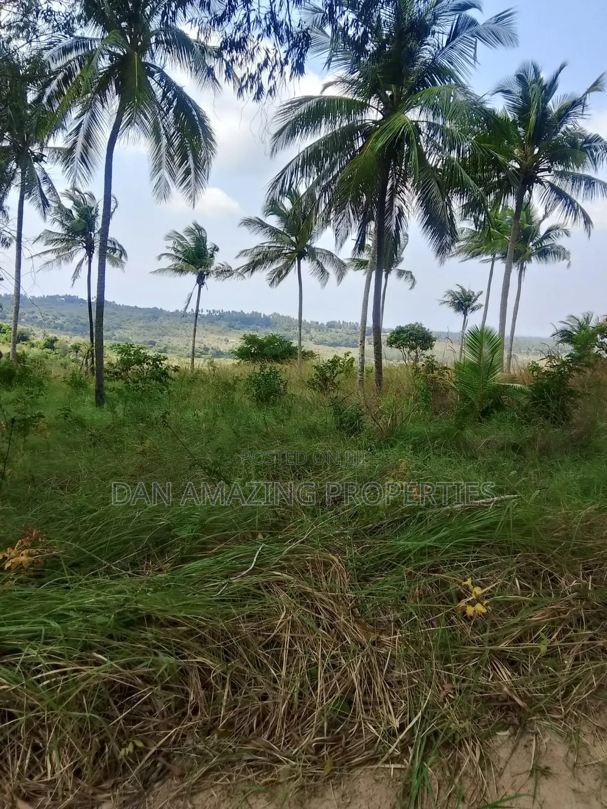 10 Acres for Sale in Kwale Shimba Hills as a Block With Seaviews in Kinango
