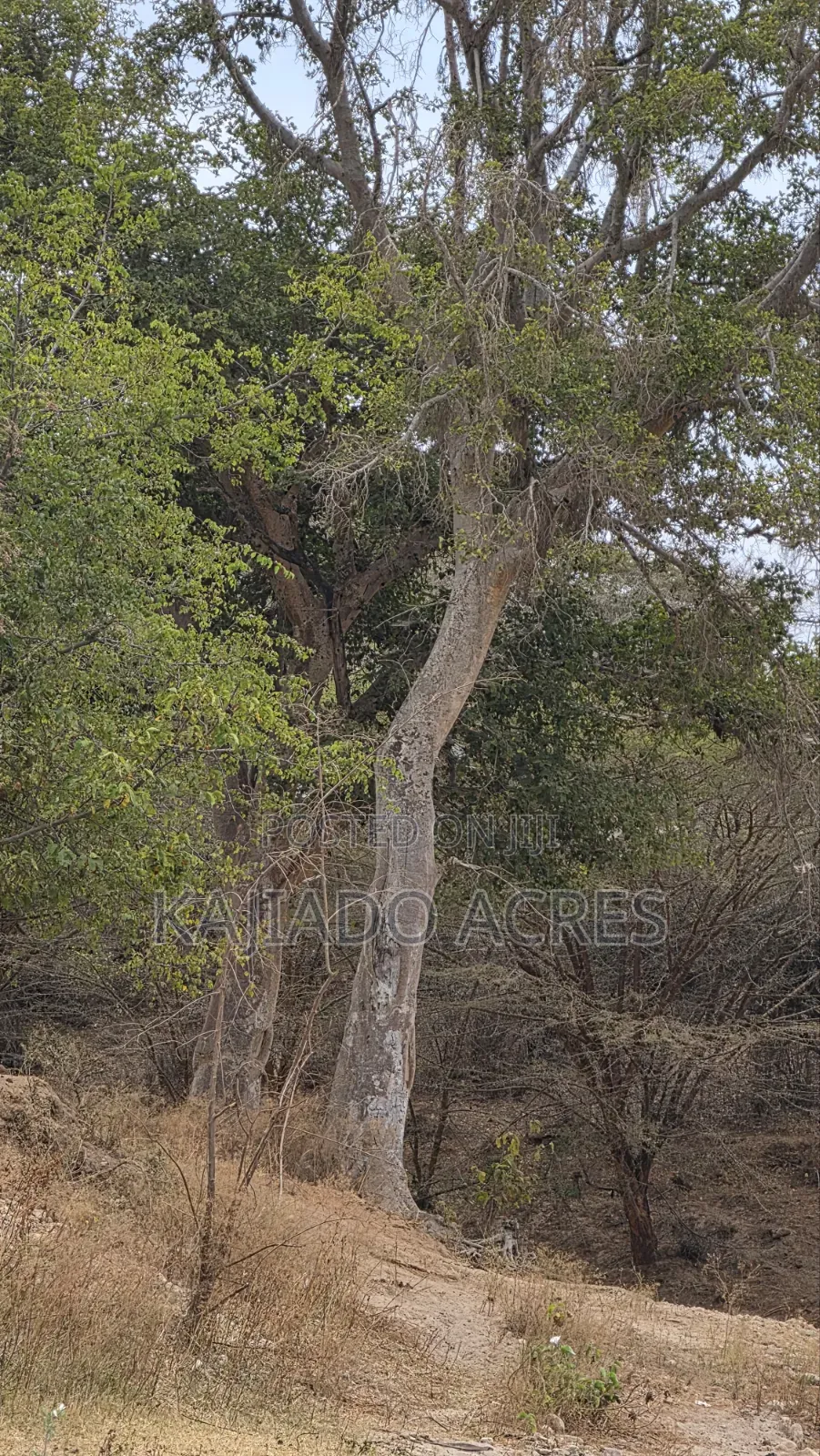 150 Acres Nkoile ,Off Namanga Road,at Per Acre in Bisil