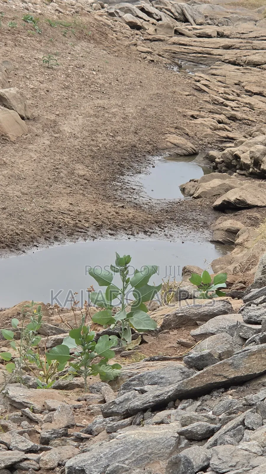 150 Acres Nkoile ,Off Namanga Road,at Per Acre in Bisil