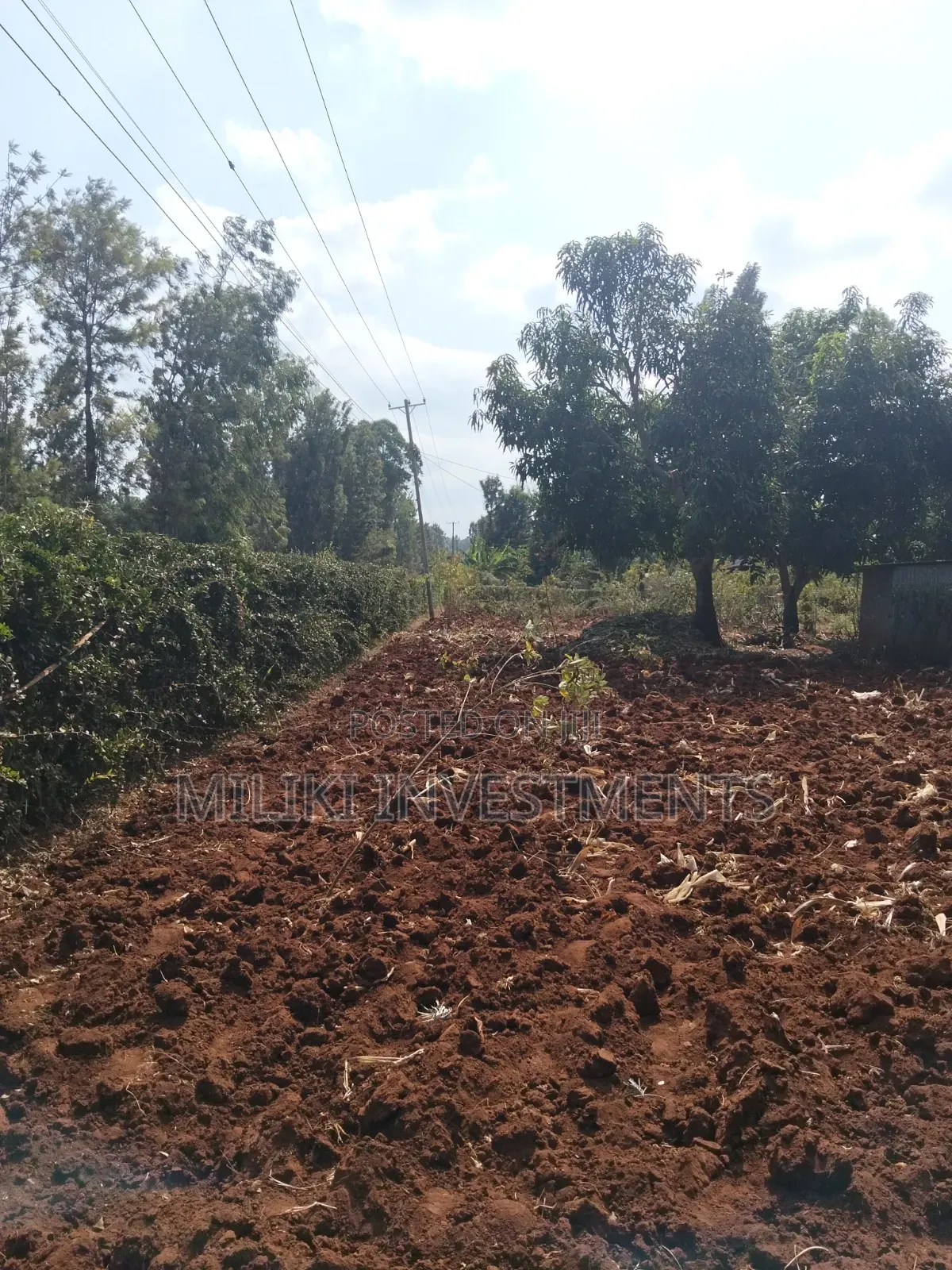 1 Acre on Sale at Gatanga. in Gatanga