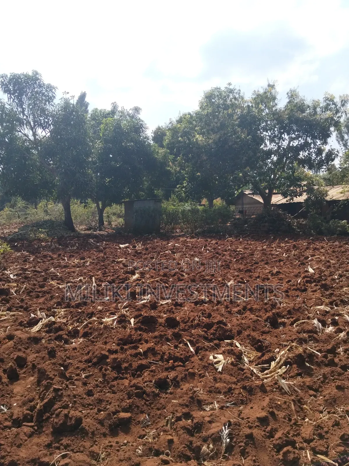 1 Acre on Sale at Gatanga. in Gatanga