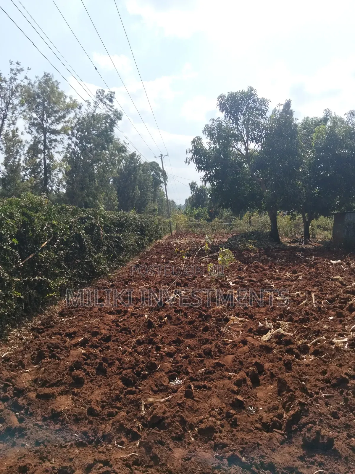 1 Acre on Sale at Gatanga. in Gatanga