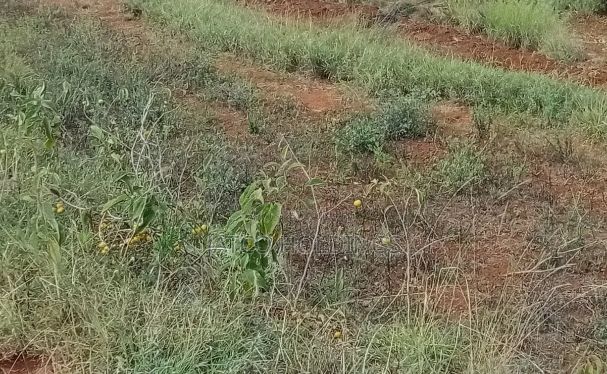 Ruiru Kamakis Karuguru 2 Plots for Sale in Kamakis