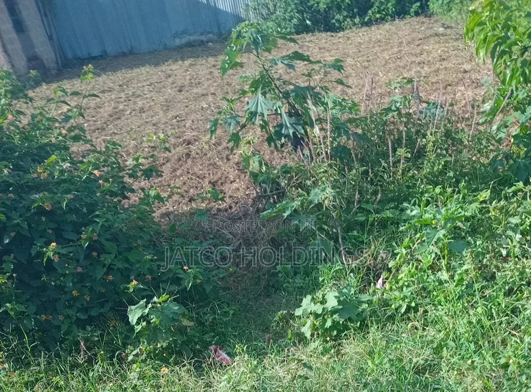 Ruiru Kamakis Karuguru 2 Plots for Sale in Kamakis