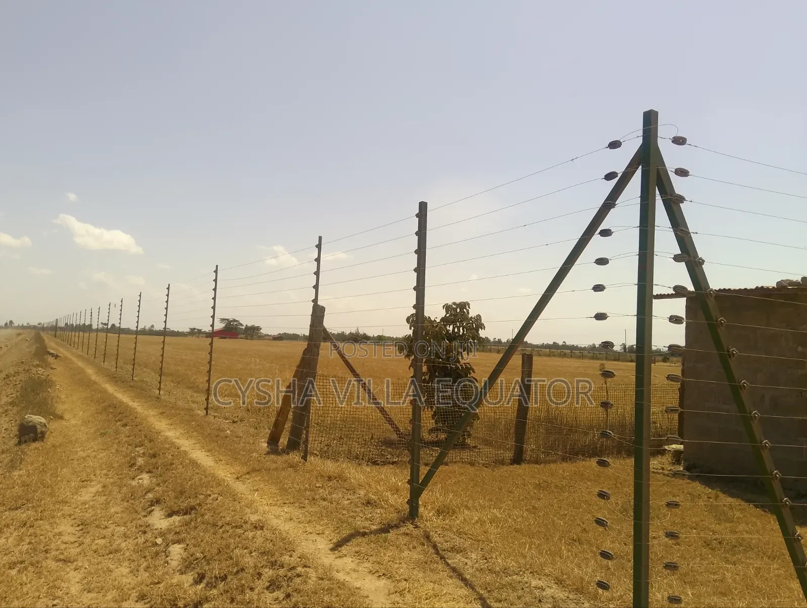 Prime Properties in Nanyuki