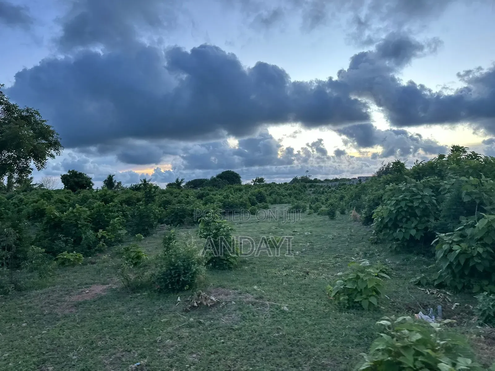 Affordable Beachfront Land: Malindi's Hidden Gems in Malindi