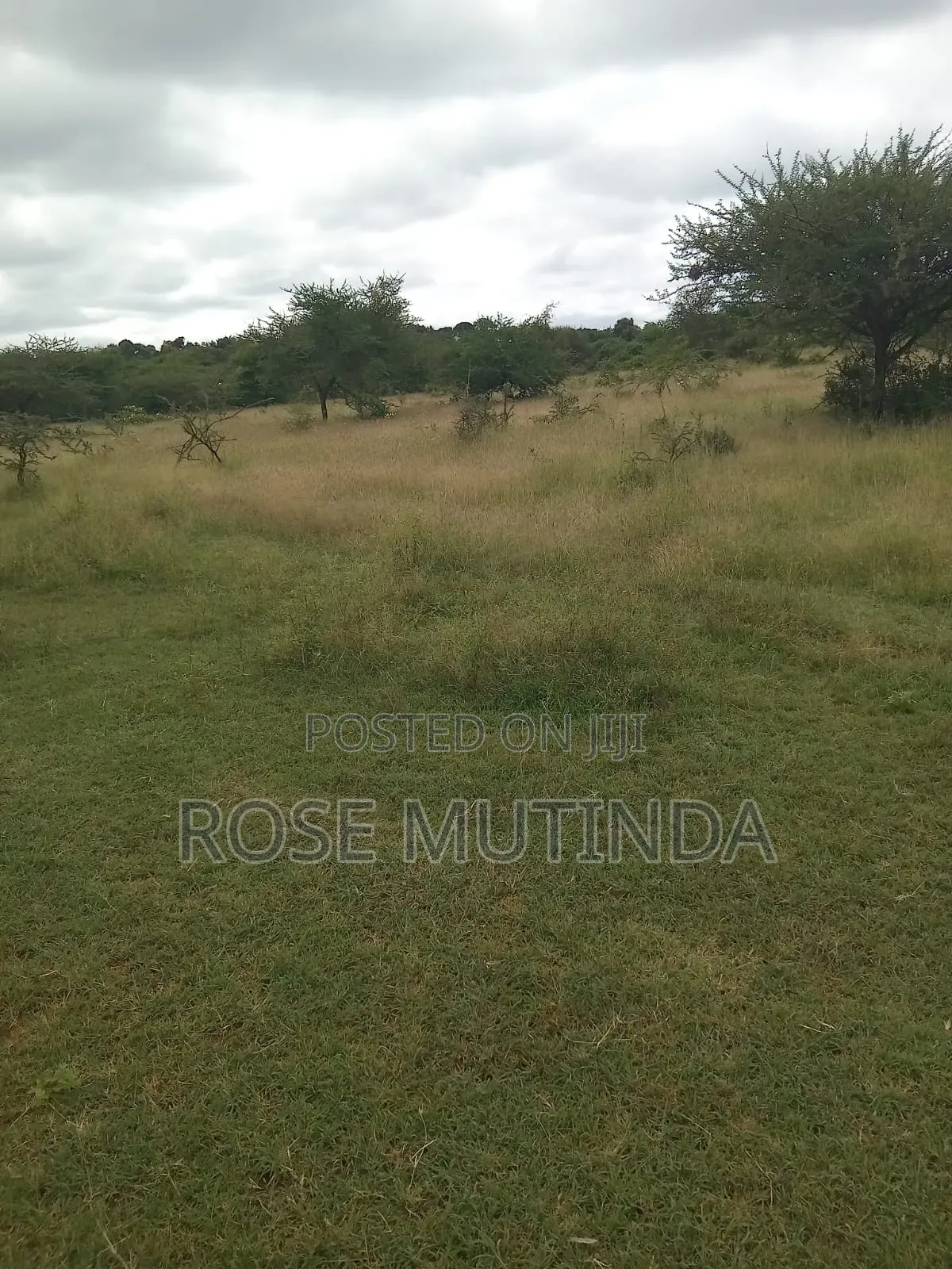 24 Acres in Mwala in Makutano