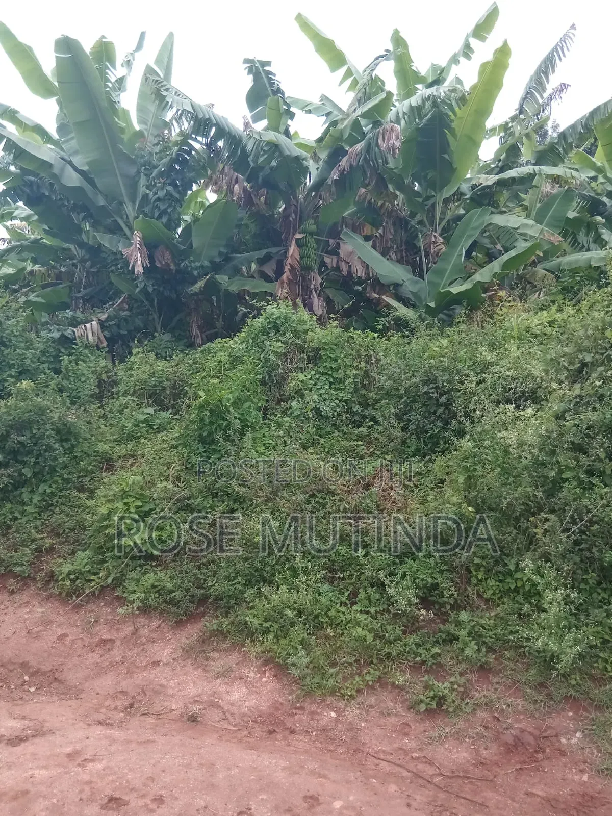 24 Acres in Mwala in Makutano