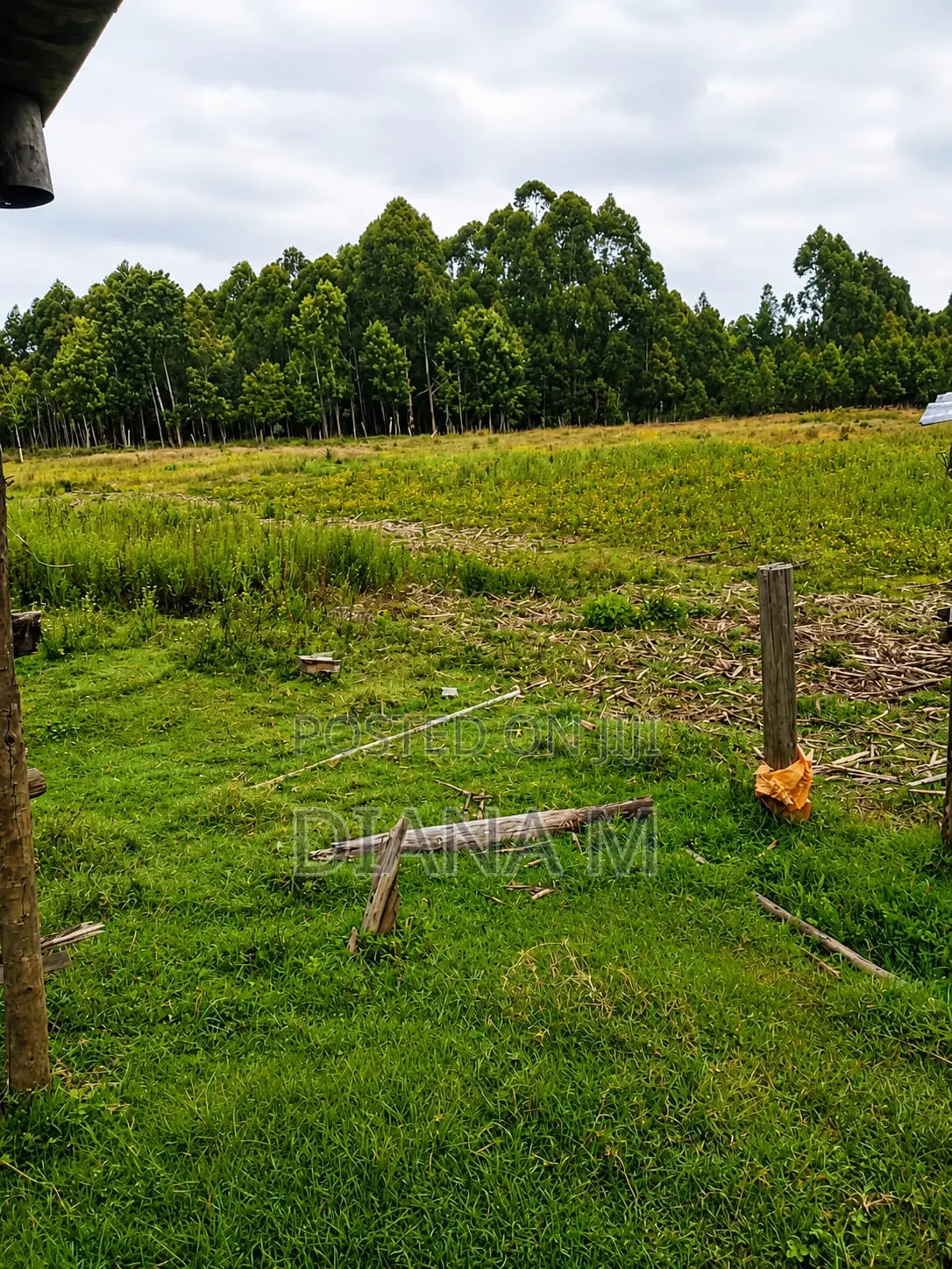 Lucrative 12-Acre Agricultural Holding in Kasuku, Nyandarua in Central Ndaragwa