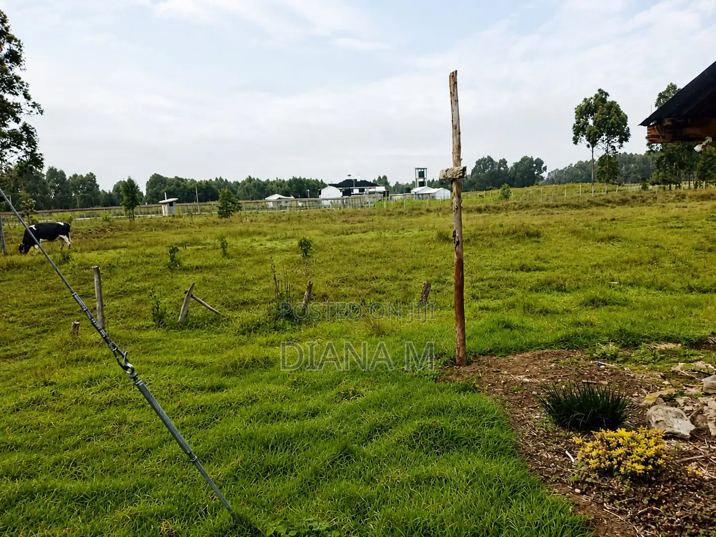 Lucrative 12-Acre Agricultural Holding in Kasuku, Nyandarua in Central Ndaragwa