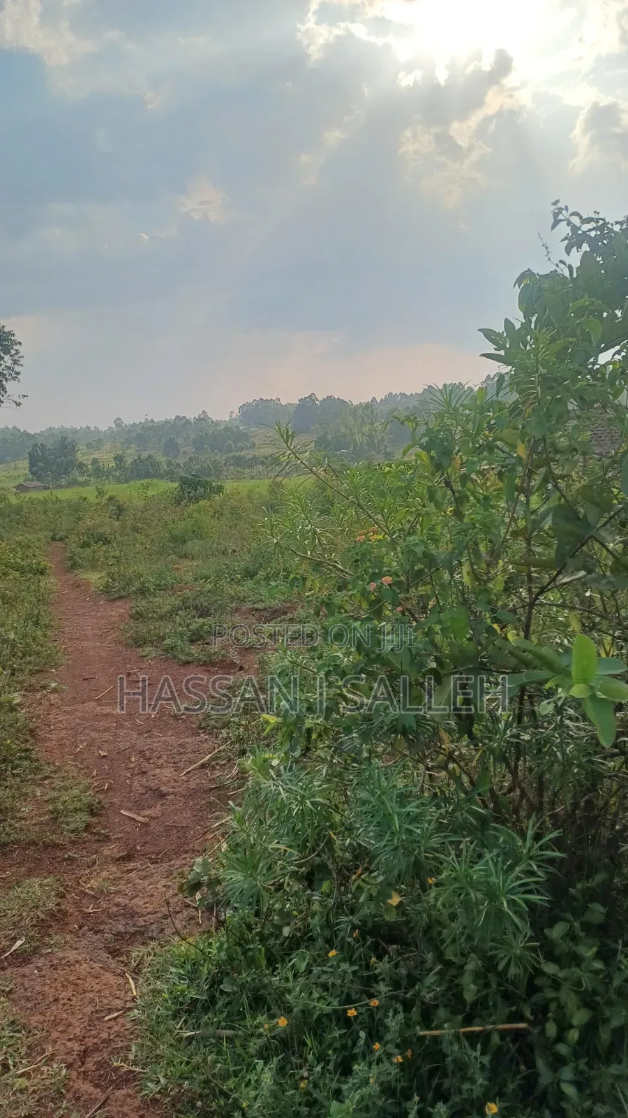 8acres 4 Sale Matungu. in Mayoni