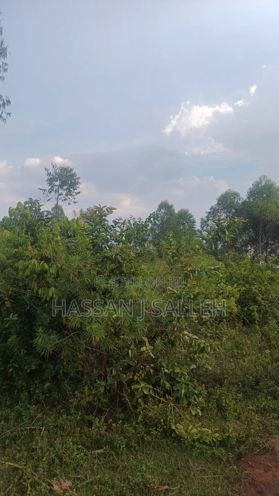 8acres 4 Sale Matungu. in Mayoni