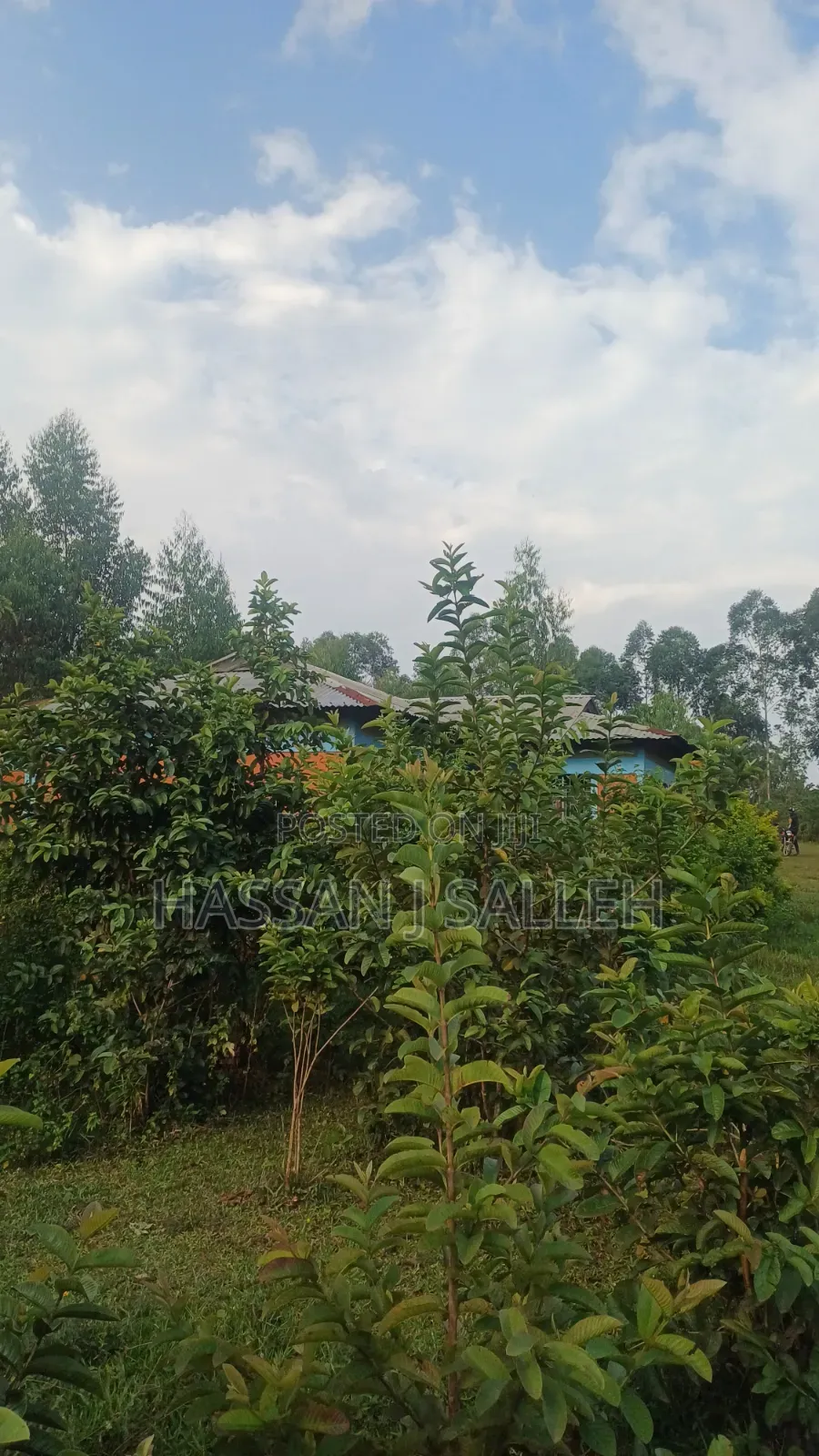 8acres 4 Sale Matungu. in Mayoni