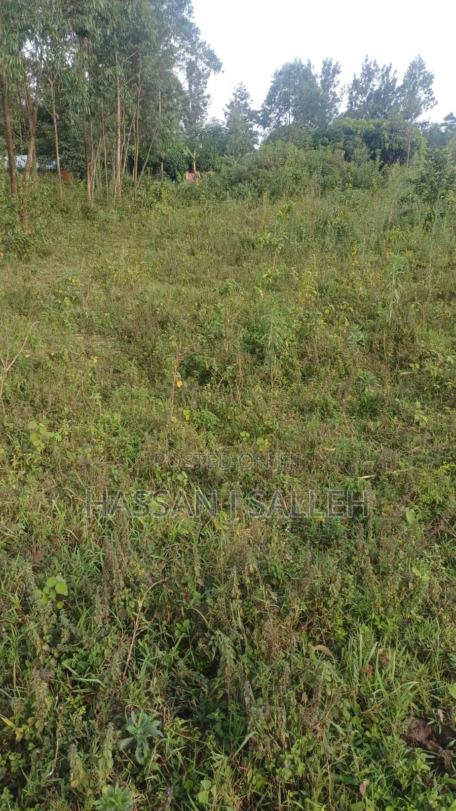 8acres 4 Sale Matungu. in Mayoni