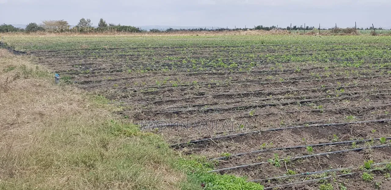 Land for Sell in Isinya