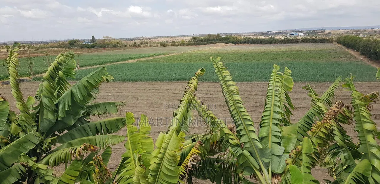 Land for Sell in Isinya