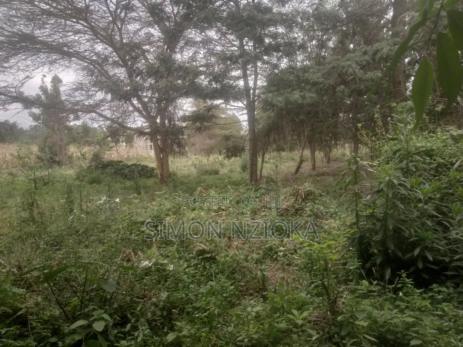 2 Acres for Sale in Matasia, Ngong, Kajiado in Matasia