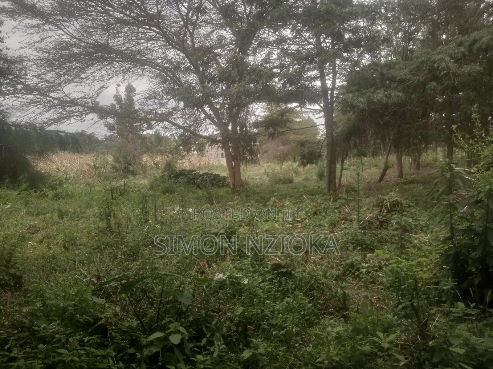 2 Acres for Sale in Matasia, Ngong, Kajiado in Matasia