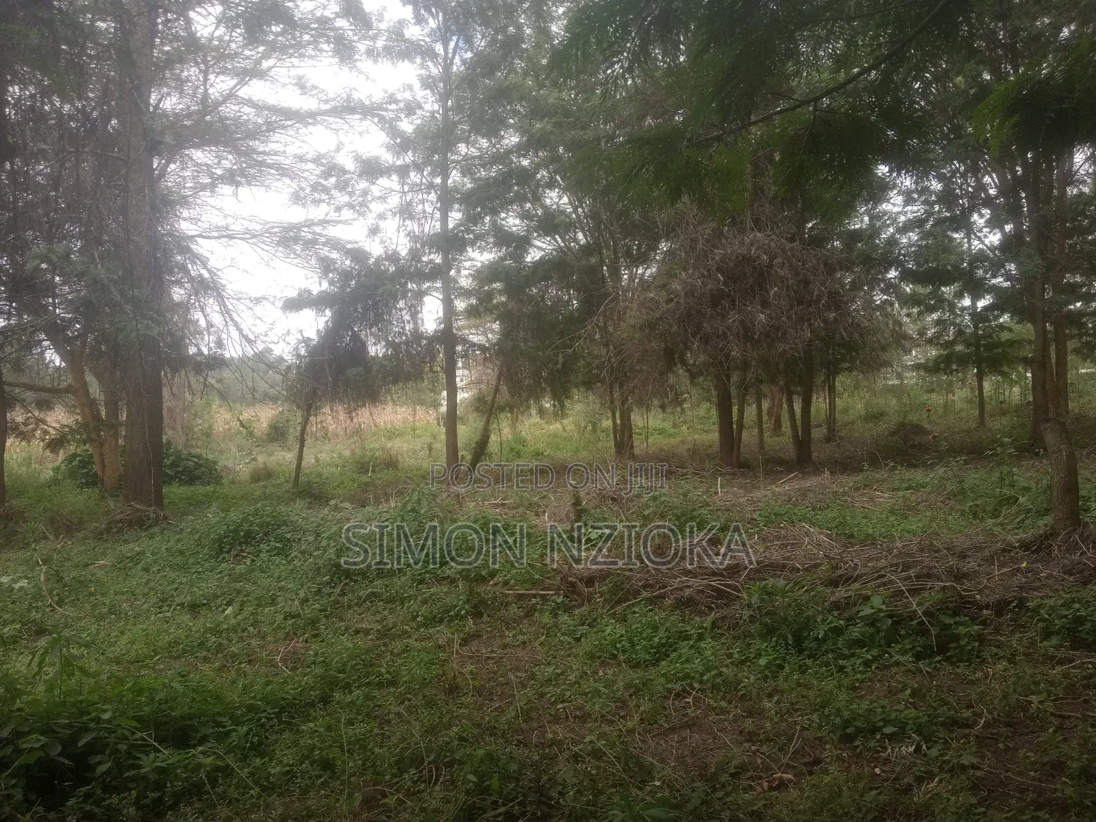 2 Acres for Sale in Matasia, Ngong, Kajiado in Matasia
