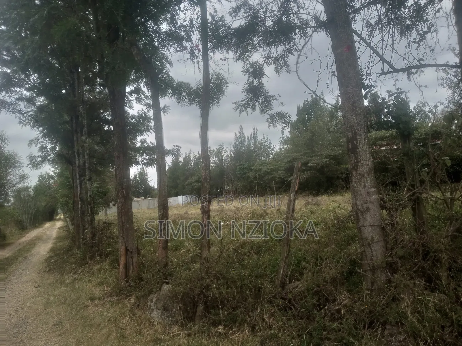 1 Acre in Kiserian, Kajiado in Kiserian