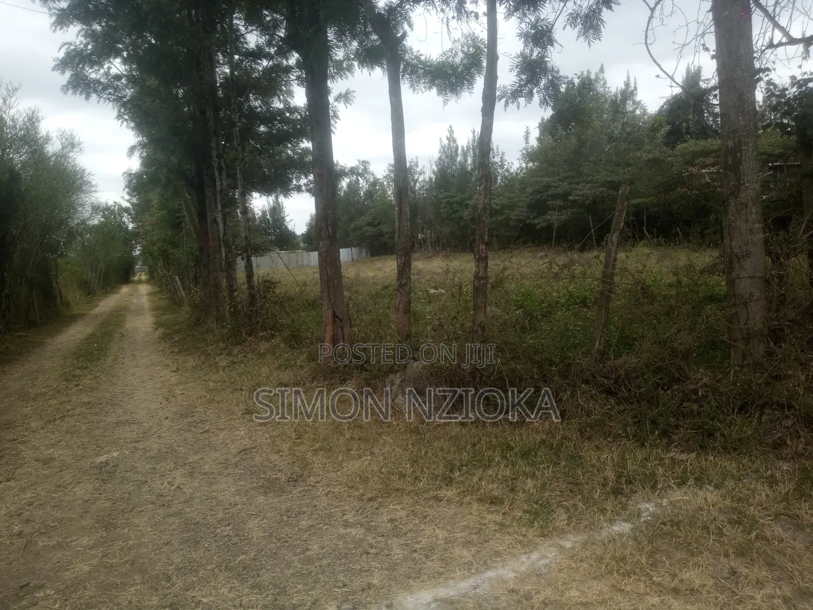 1 Acre in Kiserian, Kajiado in Kiserian