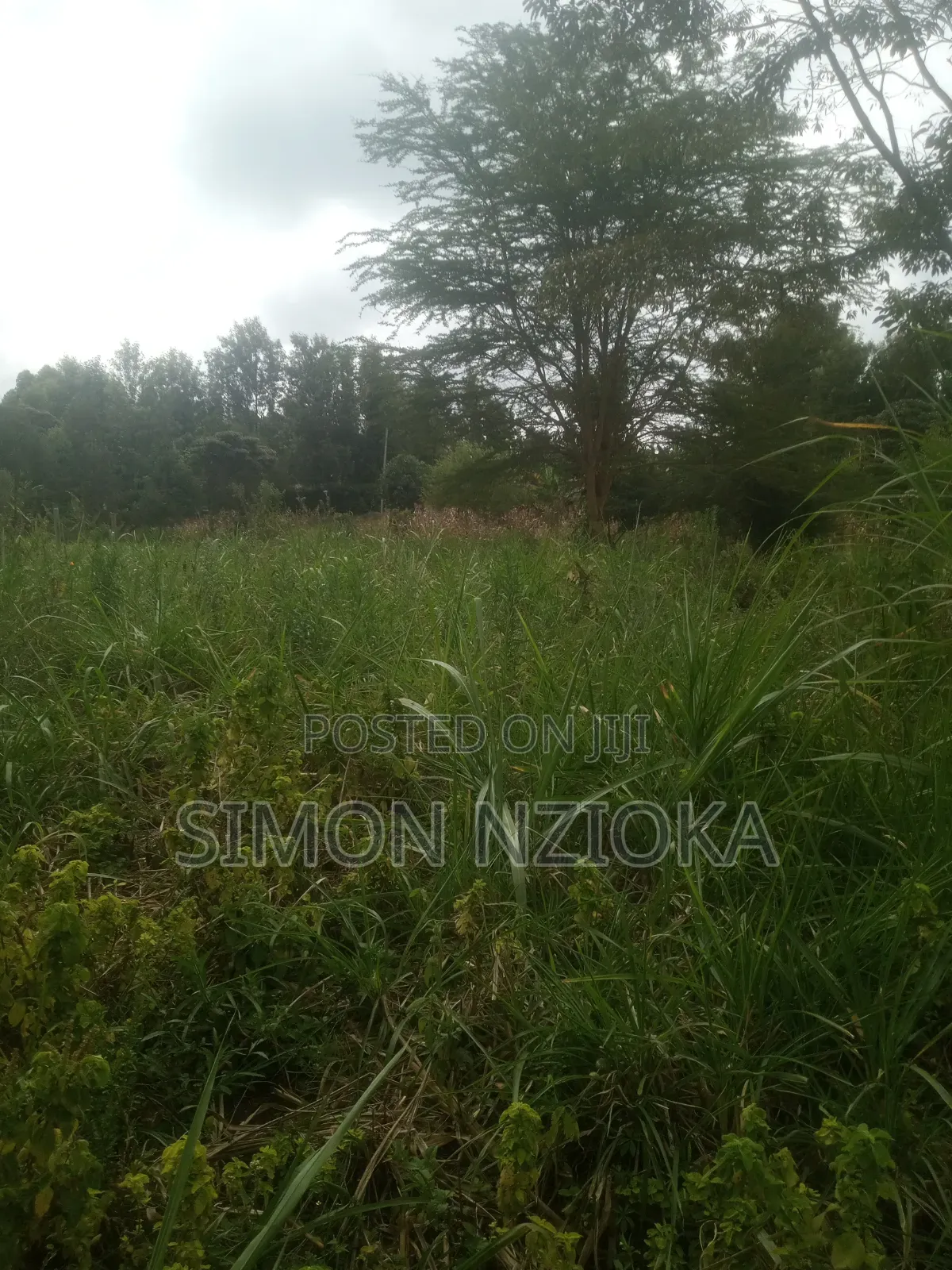 1 Acre Plot in Kiserian Kahara Road in Kiserian
