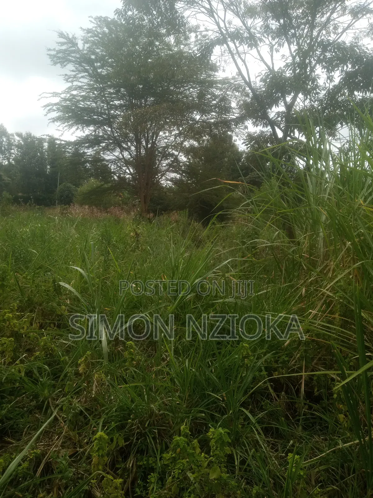 1 Acre Plot in Kiserian Kahara Road in Kiserian