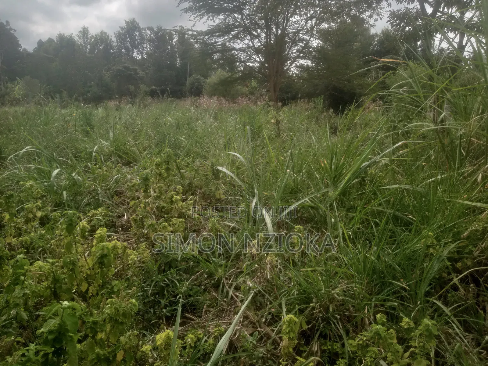 1 Acre Plot in Kiserian Kahara Road in Kiserian